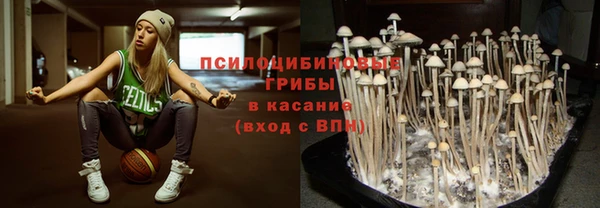 альфа пвп Инсар