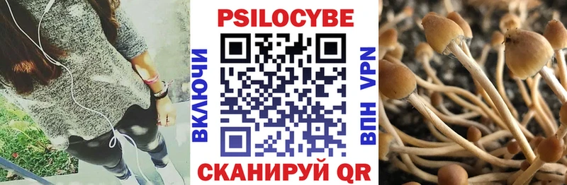 Купить где Вологда Галлюциногенные грибы Magic Shrooms